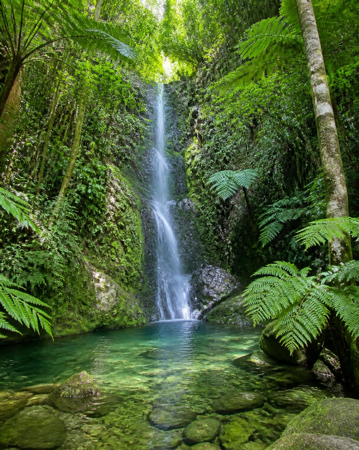 Waterfall falling into a clear pool in Caribbean rainforest